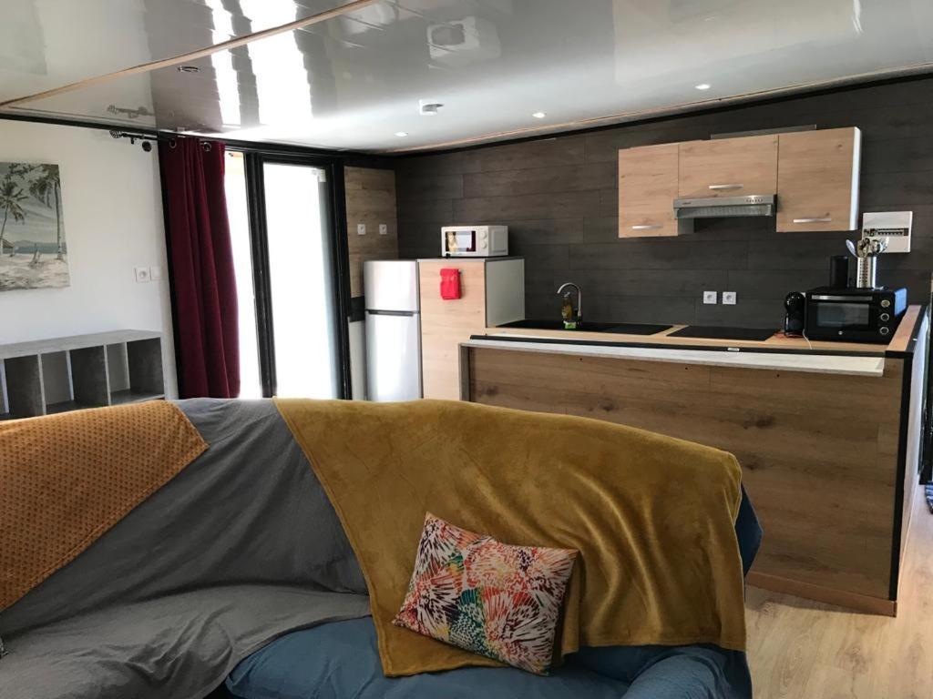 Апартаменты Le Flamboyant Avec Piscine Chauffee 30° Et Jacuzzi Сент-Андре Экстерьер фото